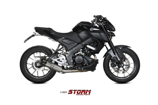 Auspuff Storm GP-C rund 300 mm KAT Yamaha YZF 125 R YZF-R 125 Bj 2021 bis 2024