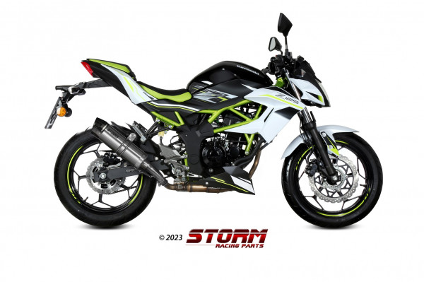 Auspuff Storm GP-C mit Carbonkappe rund 300 mm Kawasaki Ninja 125 Bj 2019 bis 2023